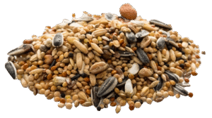 standard multihead weigher