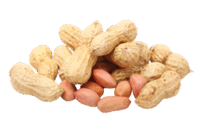 standard multihead weigher