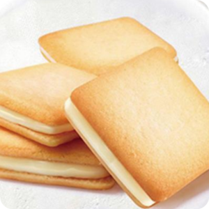 stencil cookies machine