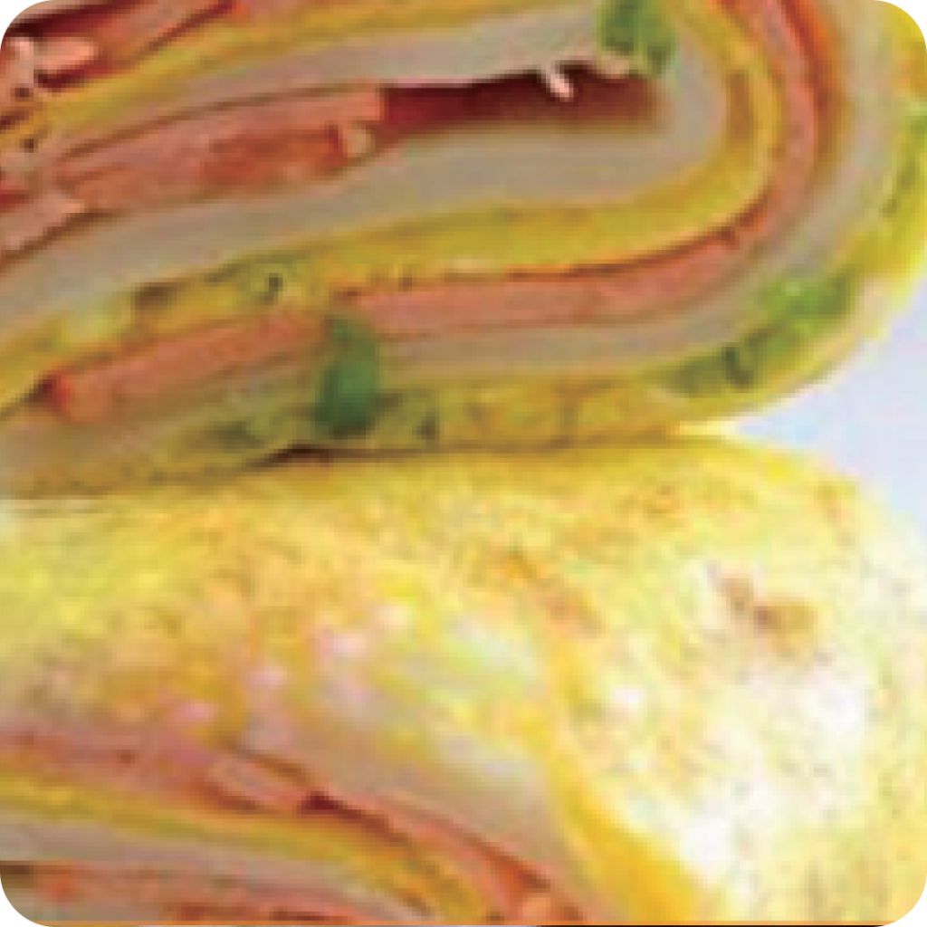 automatic round crepe production line