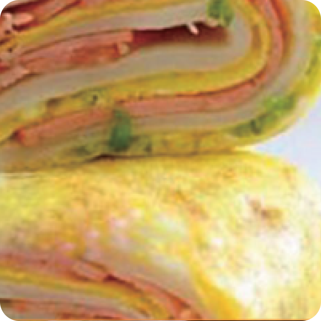 automatic round crepe production line automatic round crepe production line